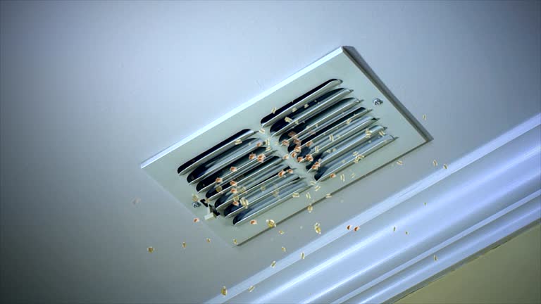 Best Home Air Vent Cleaning  in Stapleton, AL