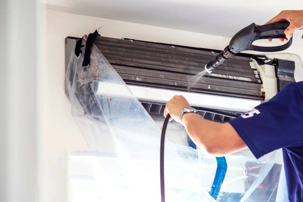 Best Professional Duct Cleaning Services  in Stapleton, AL