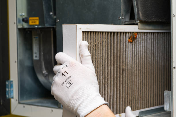Home Air Vent Cleaning in Stapleton, AL