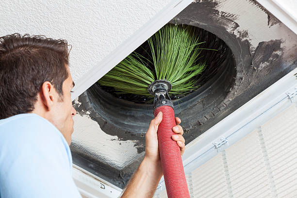 Best General Air Duct Cleaning  in Stapleton, AL